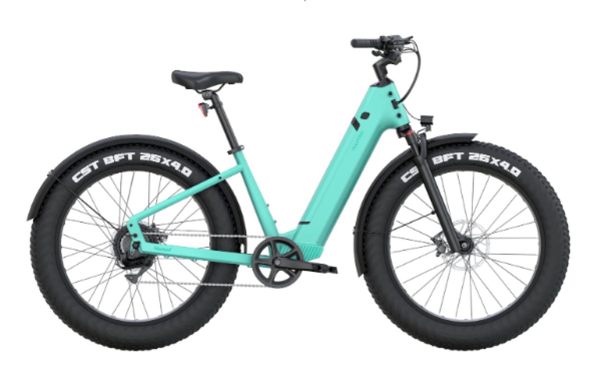 big tyre electric bike