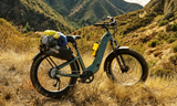 Best Fat Tire Electric Bike for 2025