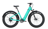 5 Top Fat Tire Electric Bikes 750 Watt