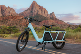 A Cargo E-Bike Comparison