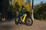 ebike insurance