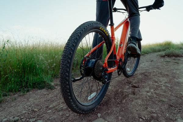 How to Choose the Best Budget Electric Mountain Bike?