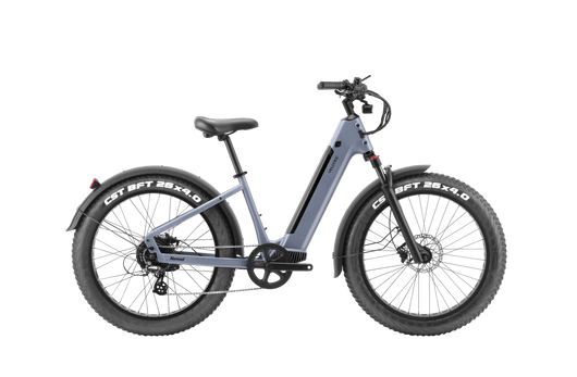 E 2024 fit bike